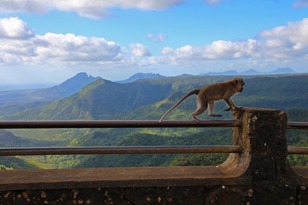 Mauritius – Teil 1: Black River Gorges Nationalpark & Chamarel