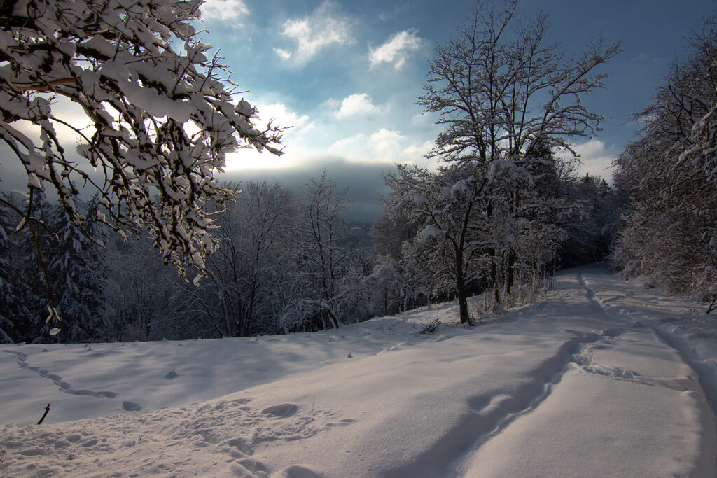 Winterwonderland auf der Schwäbischen Alb