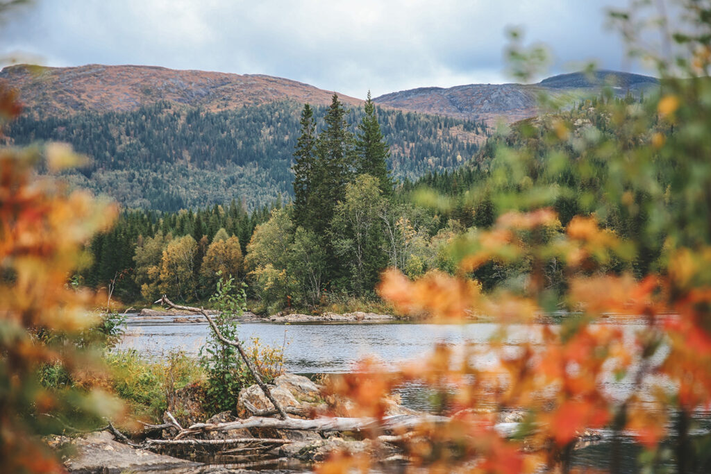 Nordnorwegen Die Provinzen Trøndelag & Nordland