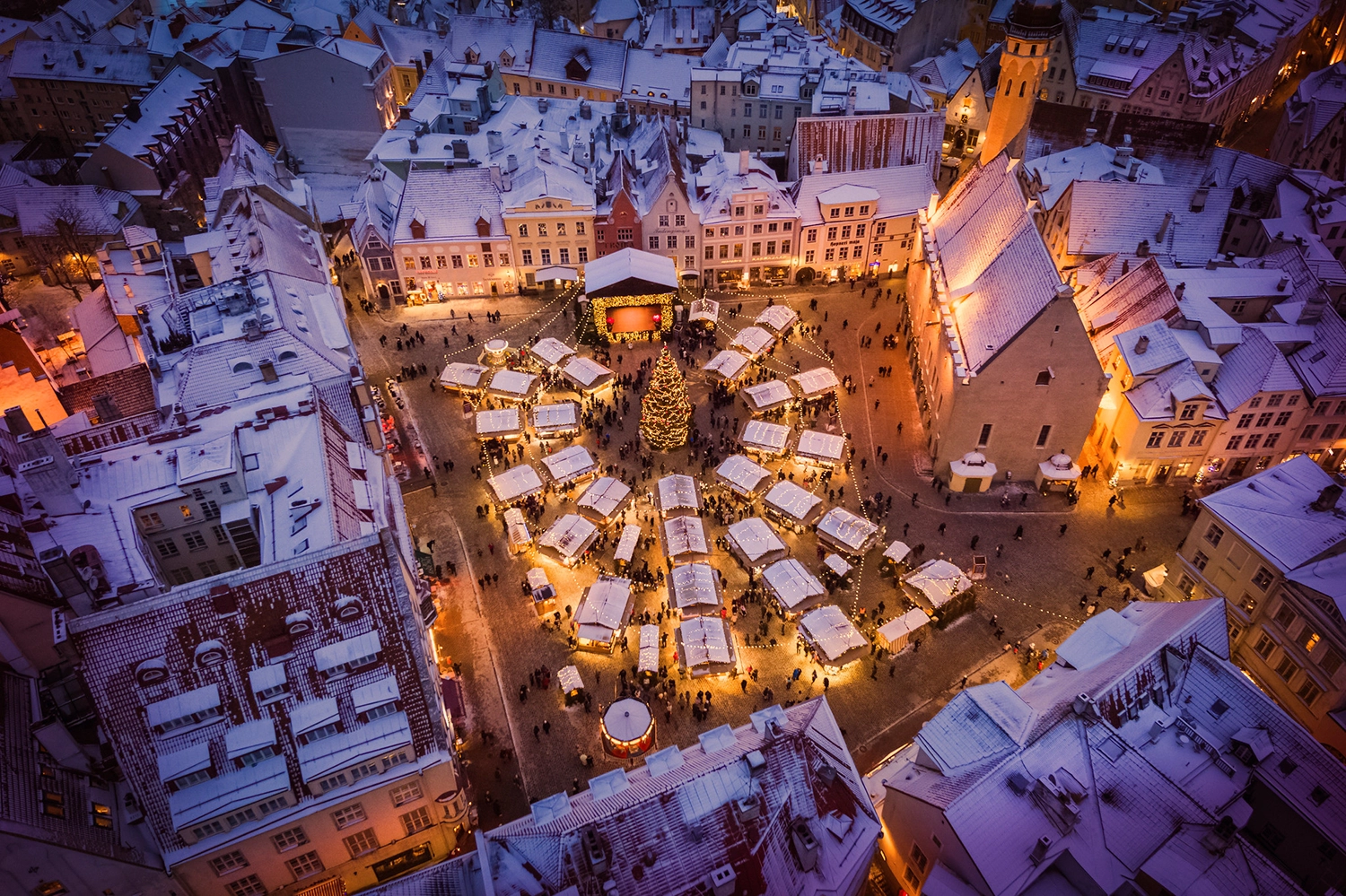 Weihnachtsmarkt in Tallinn: Tallinn Christmas Market - einer der schönsten Weihnachtsmärkte Europas.
