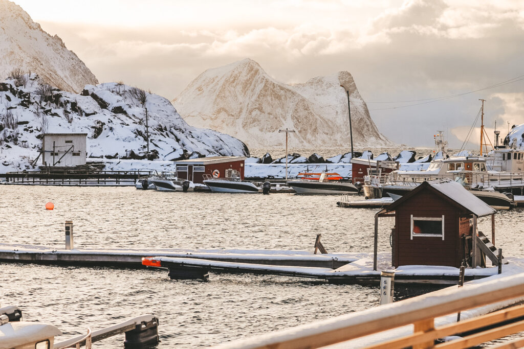 Senja Roadtrip im Winter: Das geheimnisvolle Insel-Paradies vor Norwegens Westküste