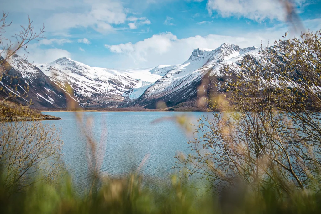 Norwegens Norden – 8 Dinge, die du machen solltest, wenn du die Helgelandküste bereist