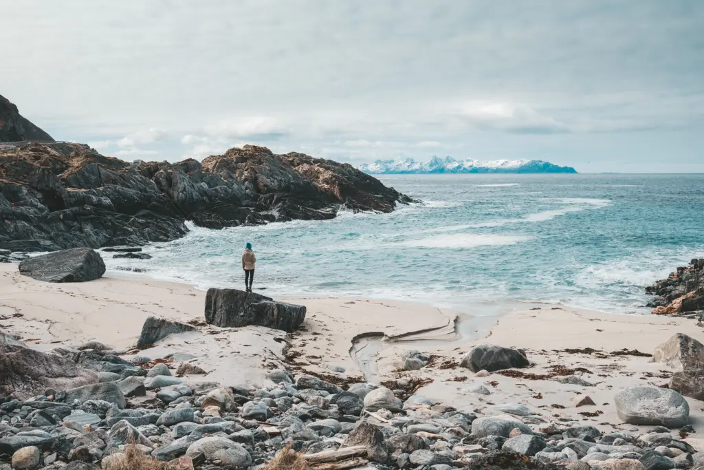 Vesterålen Rundreise – Norwegens Wildlife-Inseln: Highlights & Reisetipps