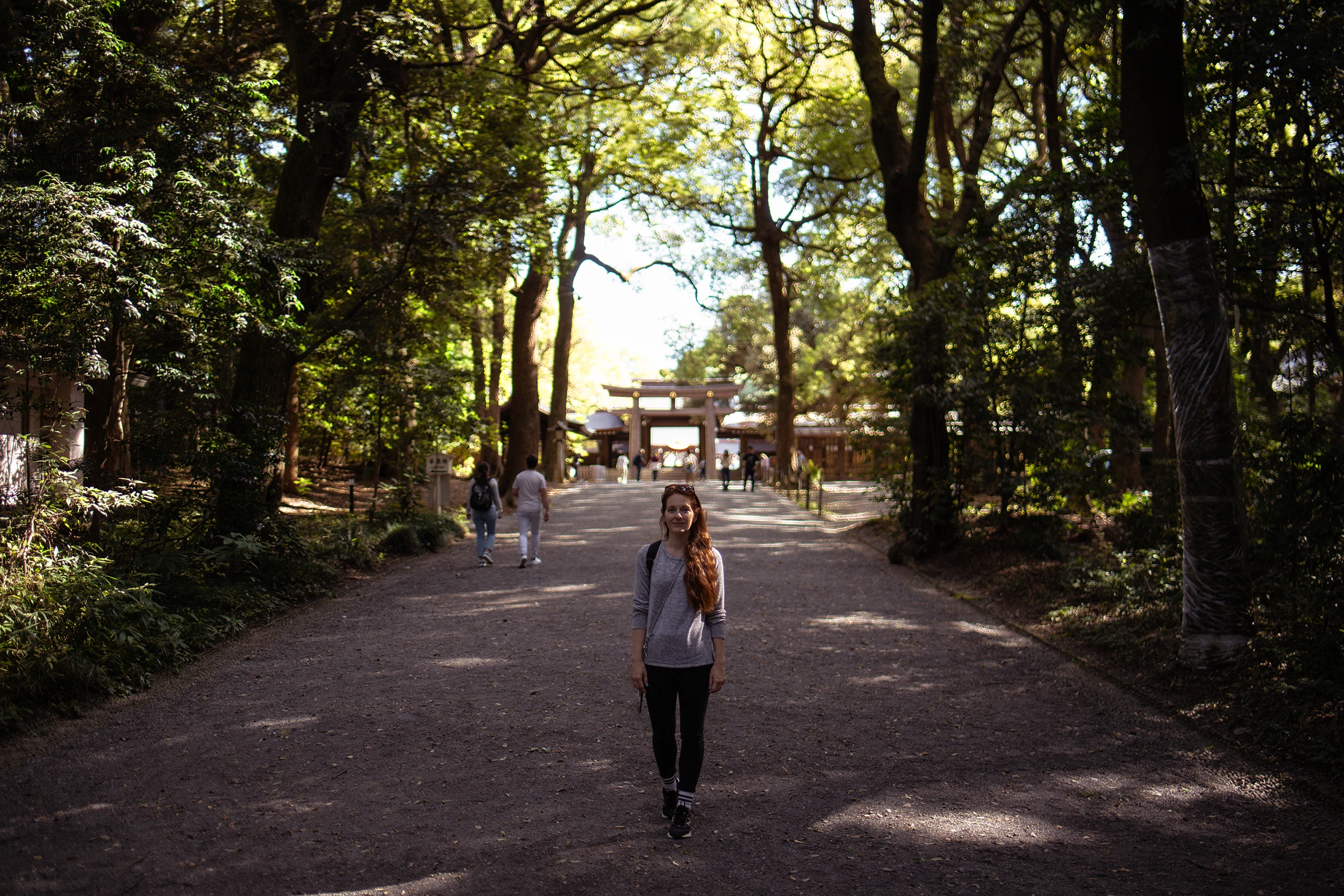 Japan - Meiji-Schrein - My Travel Island; Ein Wald mit knapp 120.000 Bäumen umgibt den Meiji-Schrein – lass dir diese Sehenswürdigkeit nicht entgehen.