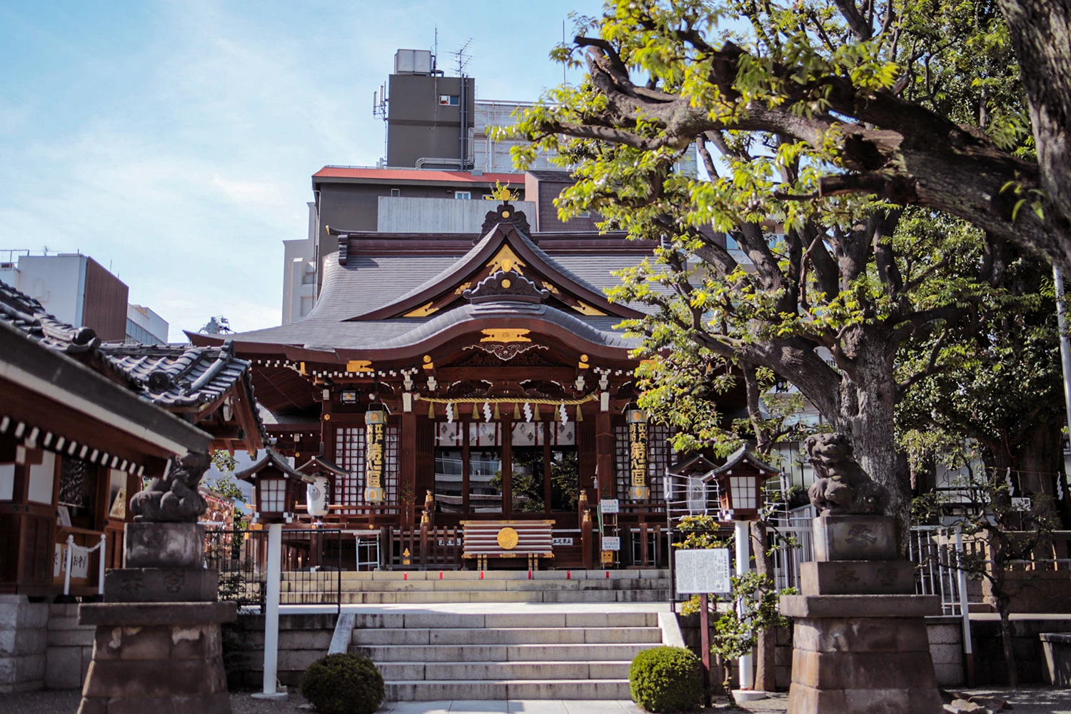 Tempel und Schreine in Tokio. Besuche den Otori Jinja Schrein. My Travel Island