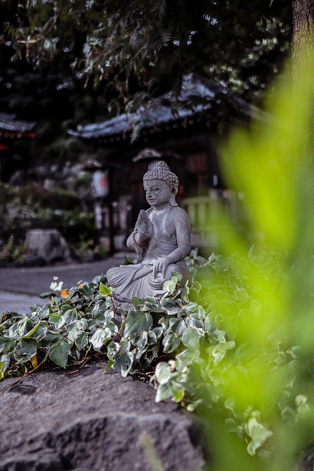 Am Ryusen-ji Tempel habe ich vor allem die zauberhaft angelegten Gärten und die Nähe zur Natur gemocht. My Travel Island