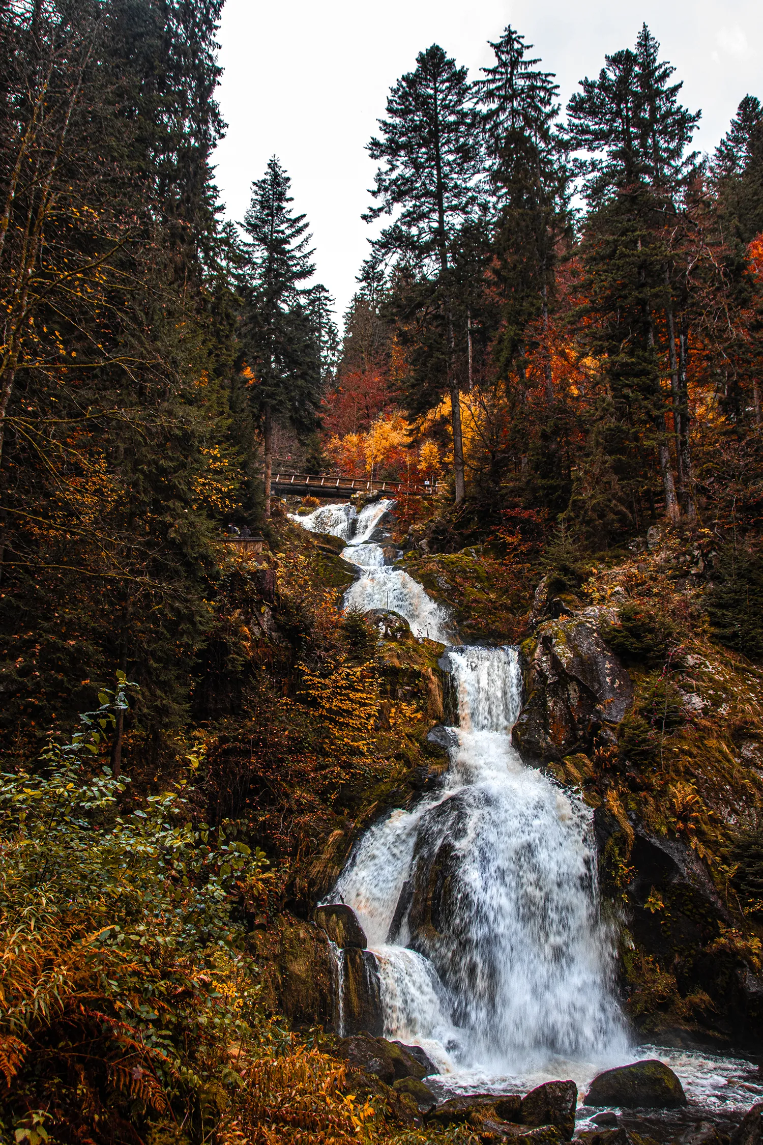 Triberger Wasserfälle, Naturschutzgebiete und Ausflugsziele zum Birding im Süden von Baden-Württemberg; My Travel Island