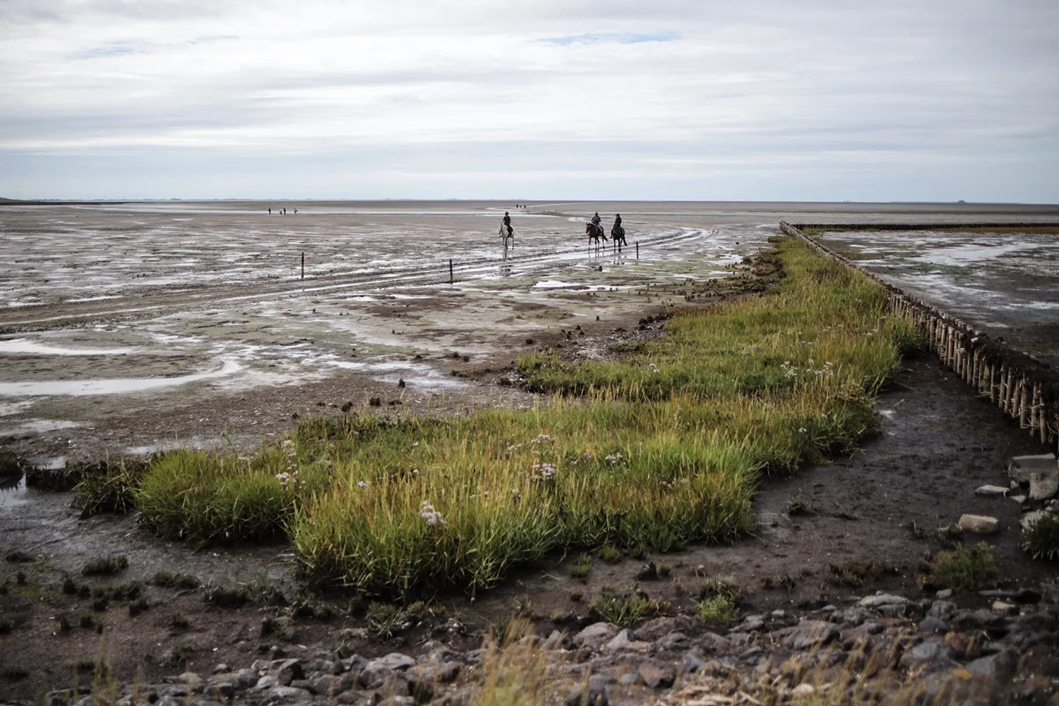 Nationalpark Schleswig-Holsteinisches Wattenmeer direkt vor der Halbinsel Nordstrand
