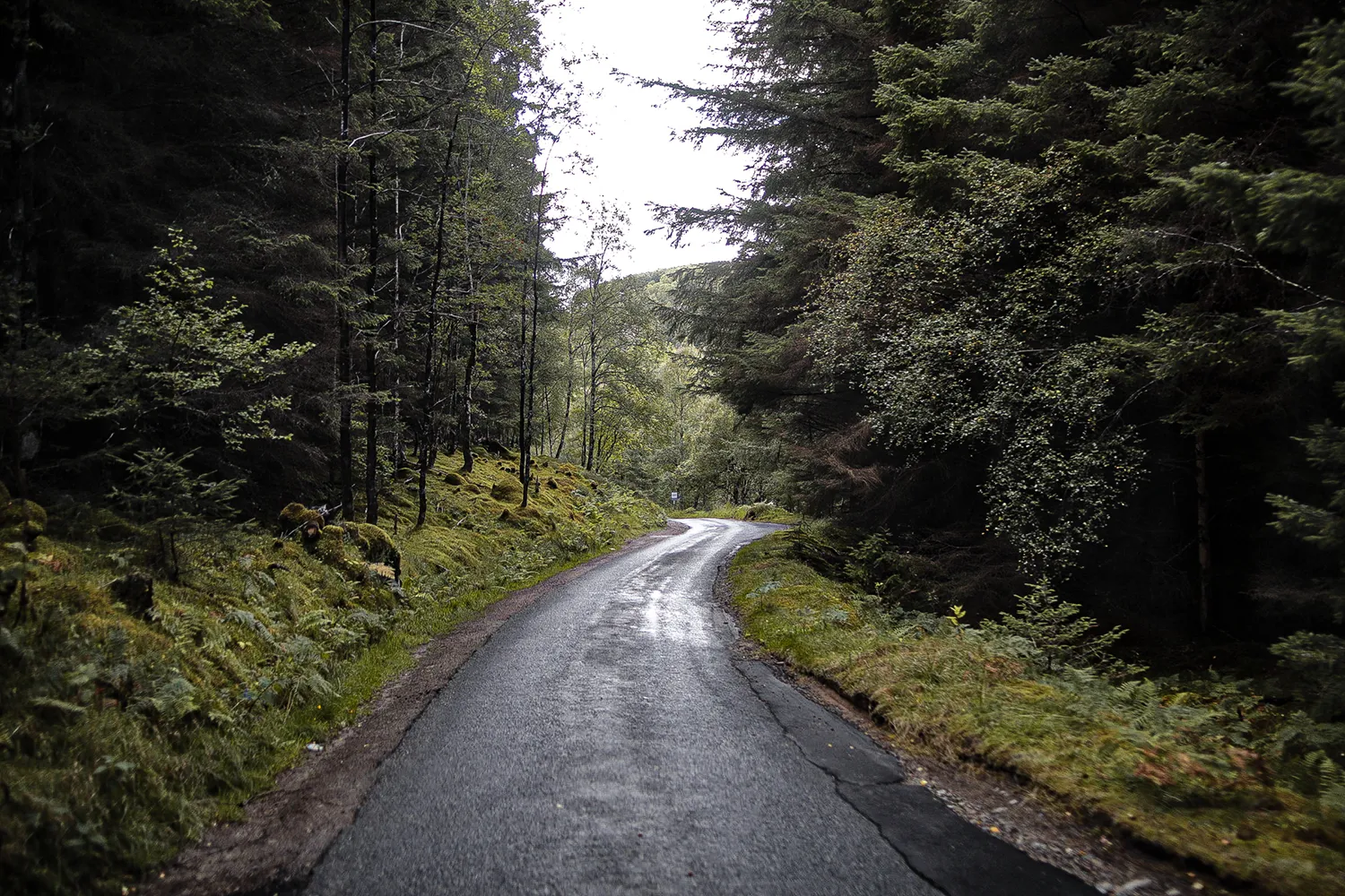 Single Track Road an der ruhigeren Ostküste von Loch Ness