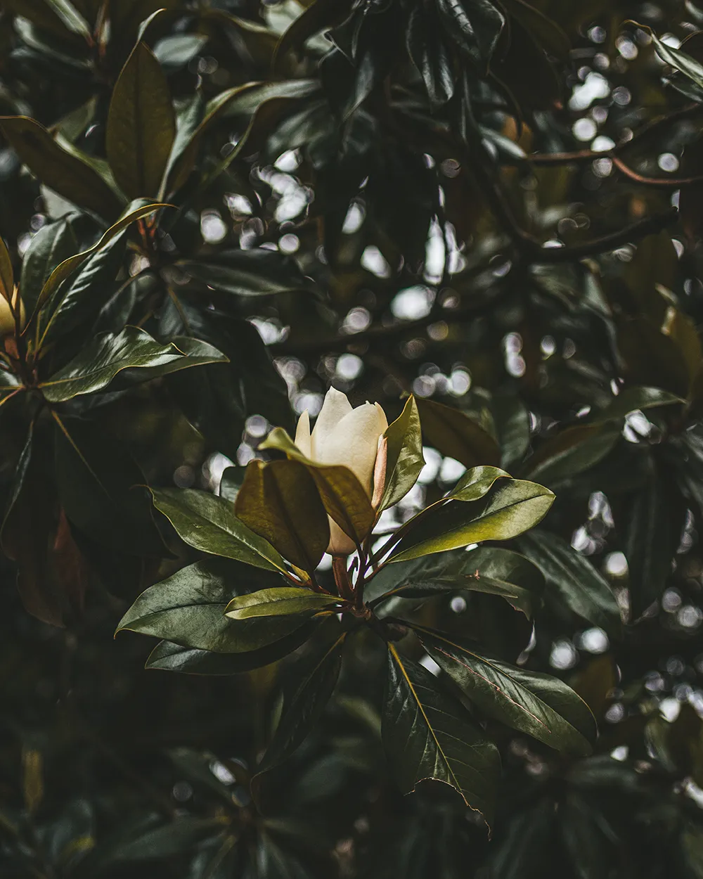 Park Doña Casilda Iturrizar; Bilbao Städtetrip: Mein Reiseguide mit Sehenswürdigkeiten, Fotospots & Tipps; Foto (c) Marielle Janotta - My Travel Island