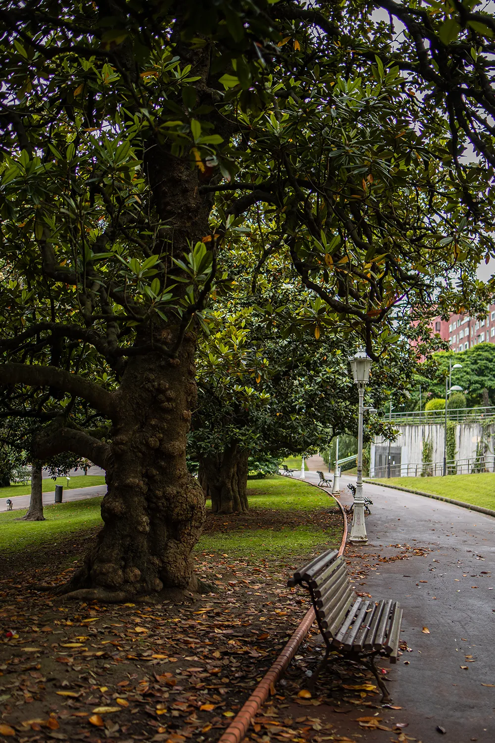 Park Doña Casilda Iturrizar; Bilbao Städtetrip: Mein Reiseguide mit Sehenswürdigkeiten, Fotospots & Tipps; Foto (c) Marielle Janotta - My Travel Island