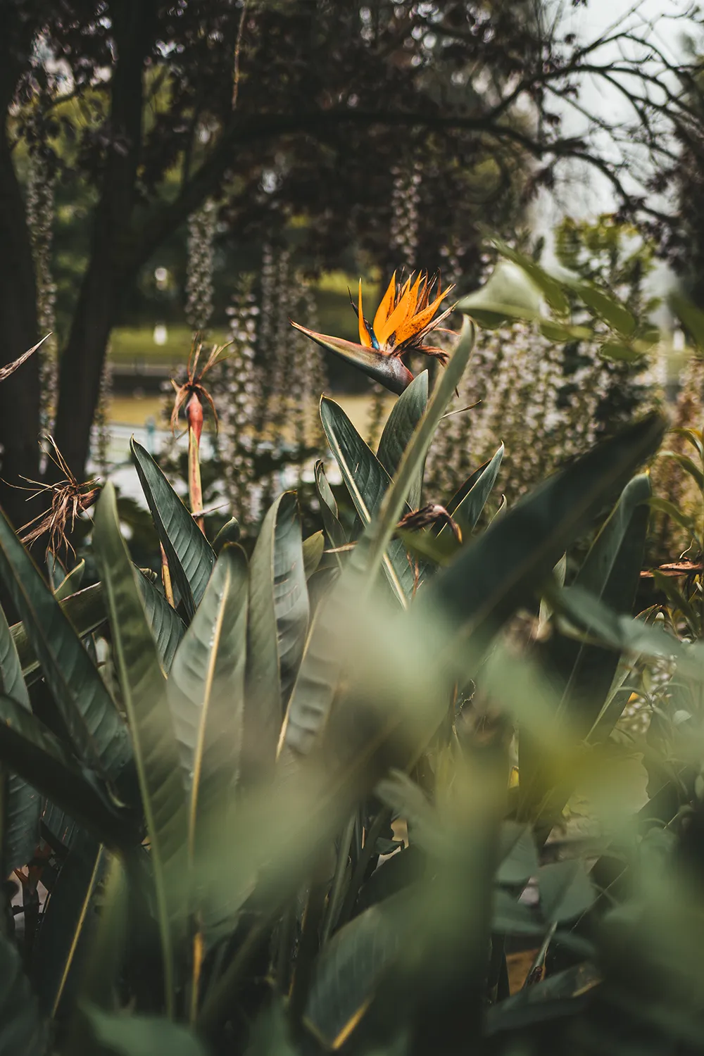 Park Doña Casilda Iturrizar; Bilbao Städtetrip: Mein Reiseguide mit Sehenswürdigkeiten, Fotospots & Tipps; Foto (c) Marielle Janotta - My Travel Island