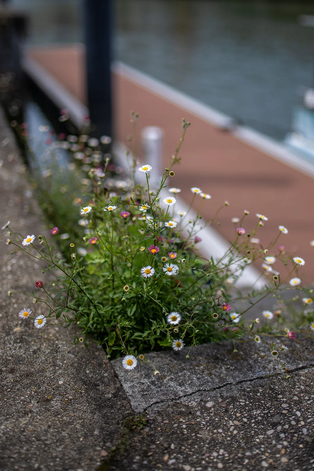 Spaziergang am Fluss Nervión; Bilbao Städtetrip: Mein Reiseguide mit Sehenswürdigkeiten, Fotospots & Tipps; Foto (c) Marielle Janotta - My Travel Island