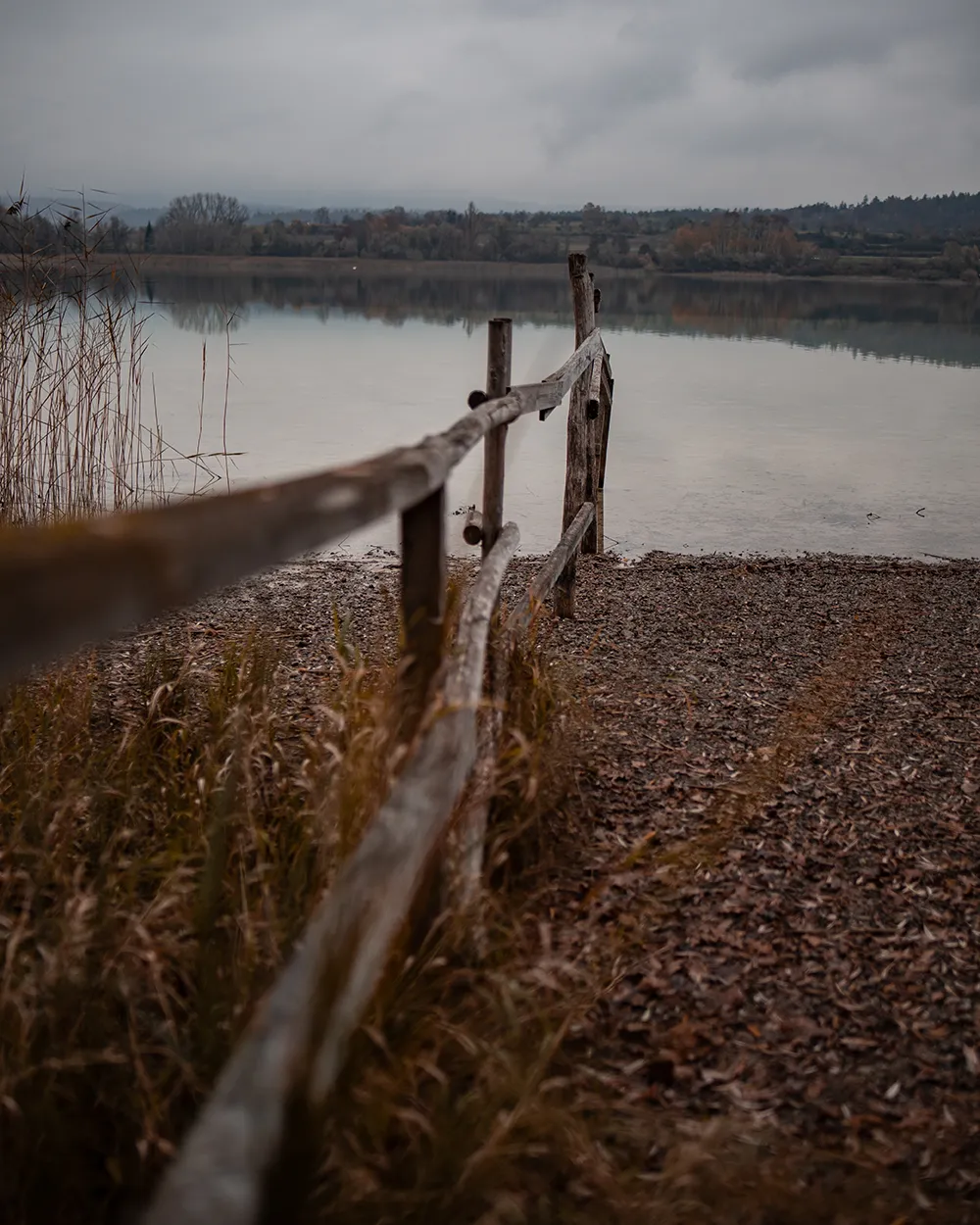 Herbststimmung am Bodensee. Vogelwarte Radolfzell und die Halbinsel Mettnau: Vogelberingung, Forschung und Vogelbeobachtung