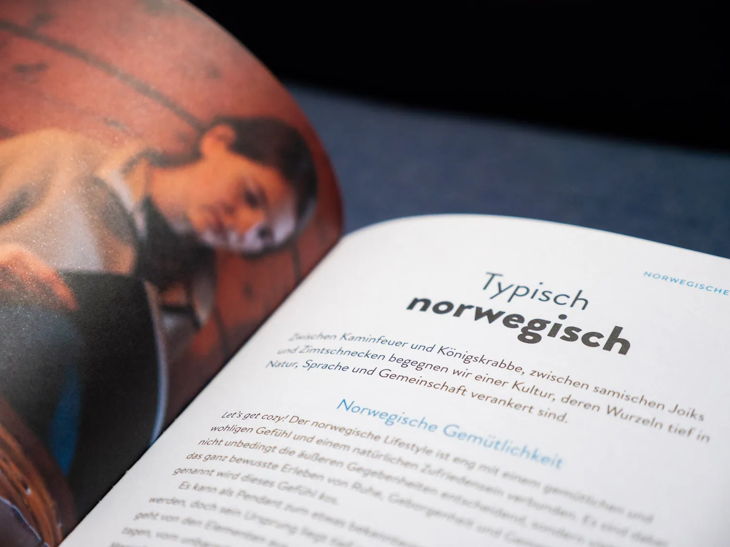 Typisch Norwegisch, Reiseführer Nordnorwegen - Reisedepeschen - Reisehandbuch Nordnorwegen - Marielle Janotta